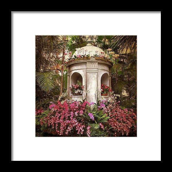 Orchids Framed Print featuring the photograph Orchid Display by Jessica Jenney