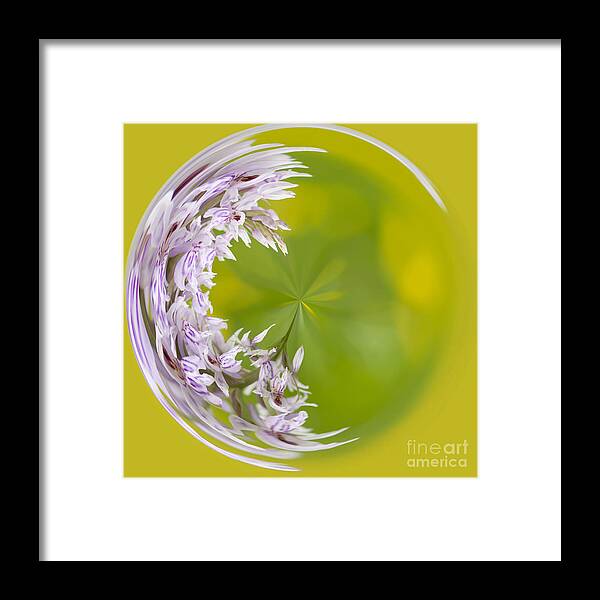 Anne Gilbert Framed Print featuring the photograph Orchid Moon by Anne Gilbert