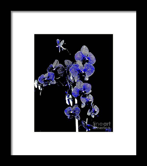 Photo Framed Print featuring the photograph Orchid on Black by Marsha Heiken