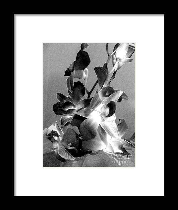 Black And White Photography Framed Print featuring the photograph Orchids 2 BW by Barbara A Griffin