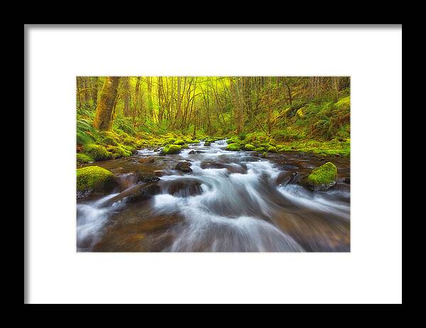Oregon Framed Print featuring the photograph Oregon Beauty by Darren White