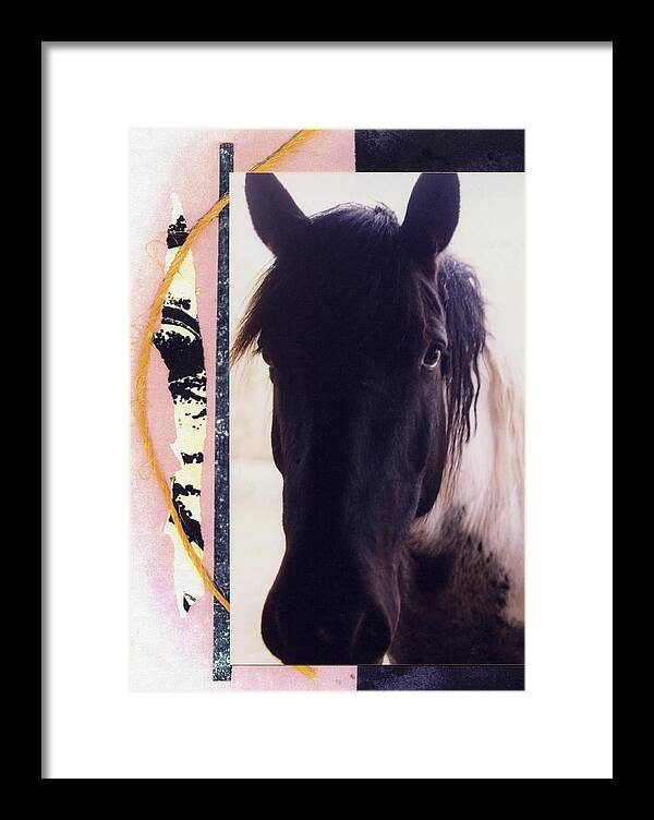 Horse Framed Print featuring the photograph Oreo by Mary Ann Leitch