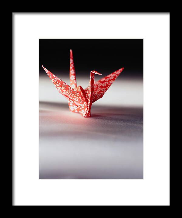 Animal Themes Framed Print featuring the photograph Origami Crane by Ryan McVay