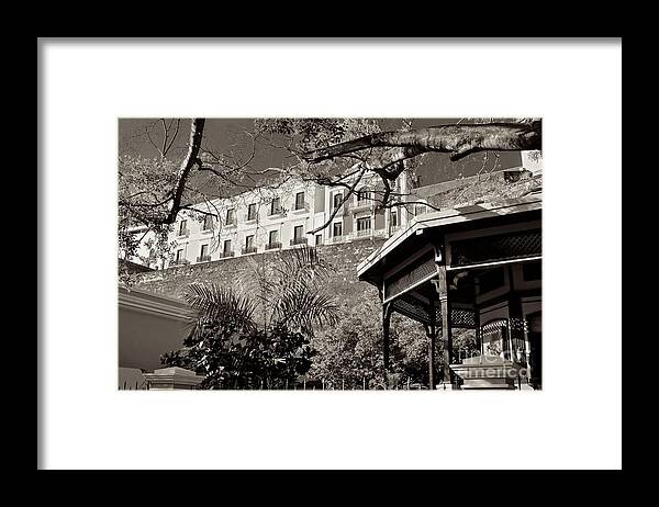  Framed Print featuring the photograph OSJ 4443sp by Ricardo J Ruiz de Porras