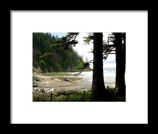 Old Growth Framed Print featuring the photograph Oswald West 2 by Laureen Murtha Menzl