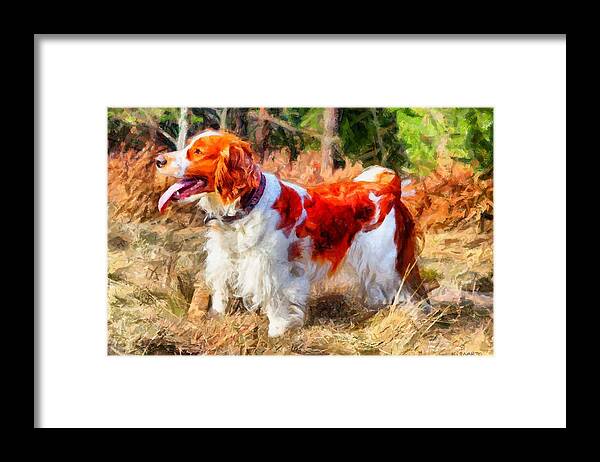 Welsh Springer Spaniel Framed Print featuring the digital art Otterox Royal Touch by Kai Saarto