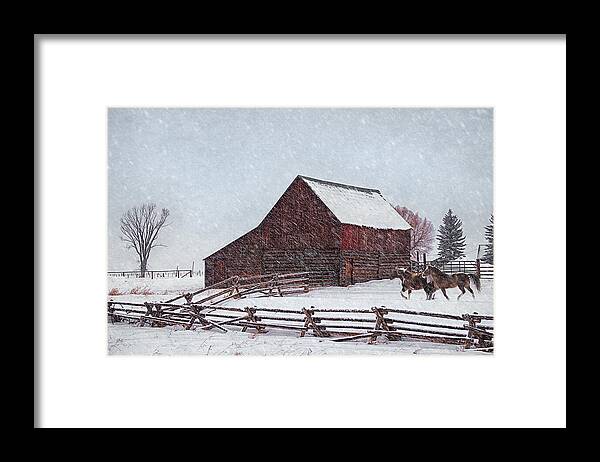 Out In The Snow Framed Print featuring the photograph Out in the Snow by Priscilla Burgers