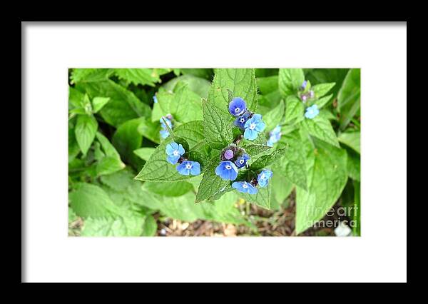 Blue Framed Print featuring the photograph Out of the blue by Julie Koretz