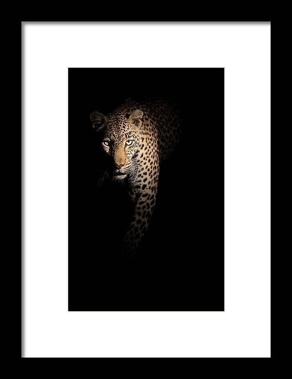 Leopard Framed Print featuring the photograph Out Of The Darkness by Richard Guijt