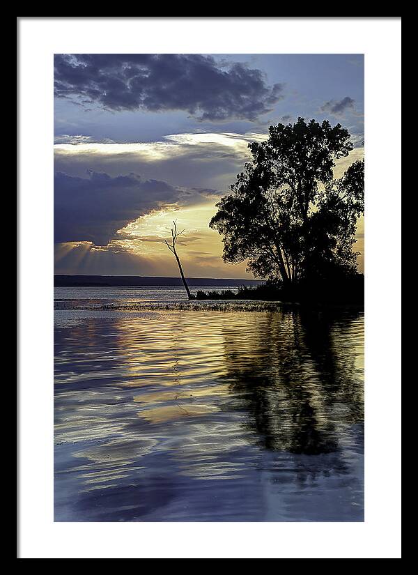 Pxl Framed Print featuring the photograph Out On Point by Michele Steffey
