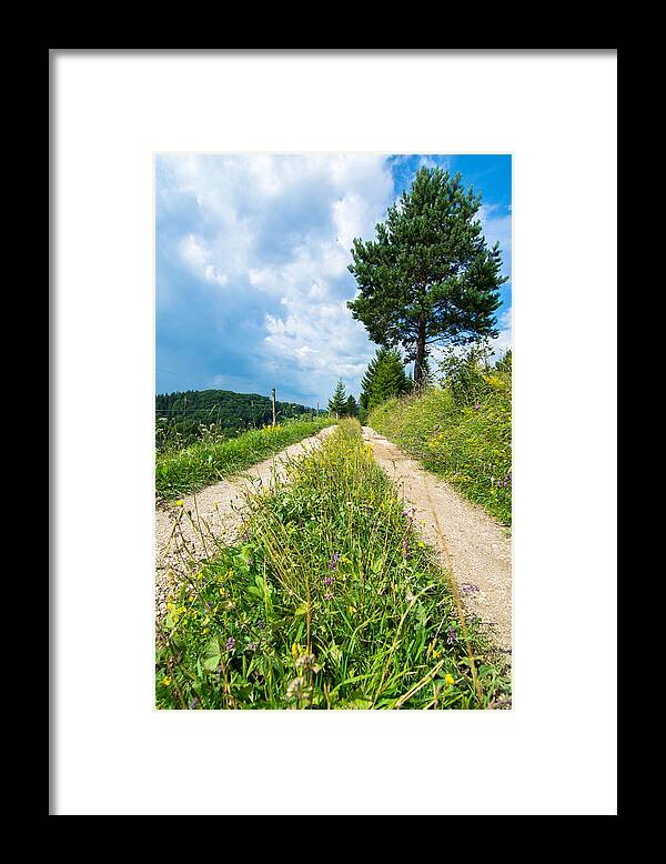Road Framed Print featuring the photograph Overgrown Rural Path Up a Hill by Andreas Berthold