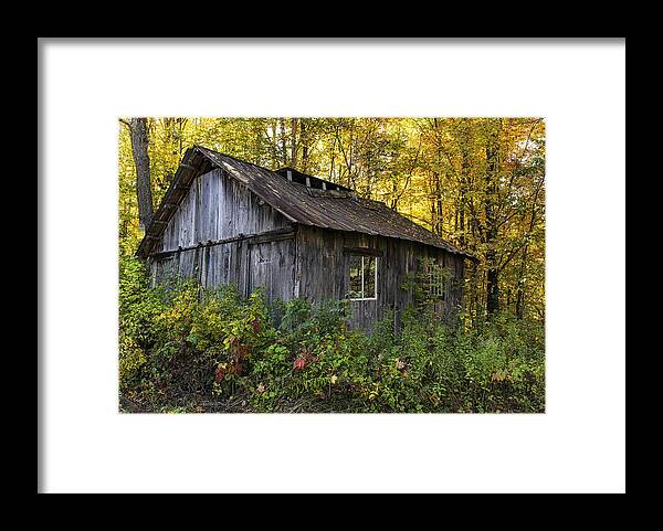 New Hampshire Framed Print featuring the photograph Overgrown New England Sugar Shack by John Vose