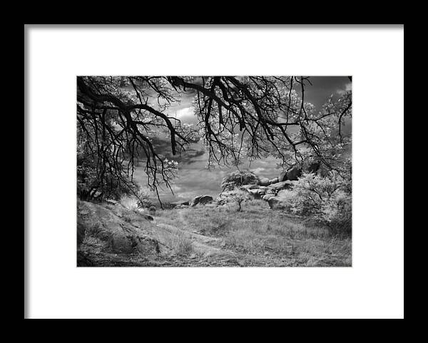 Infrared Framed Print featuring the photograph Overhanging Branches by Michael McGowan