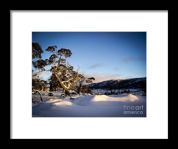 Landscape Framed Print featuring the photograph Overland Track by THP Creative