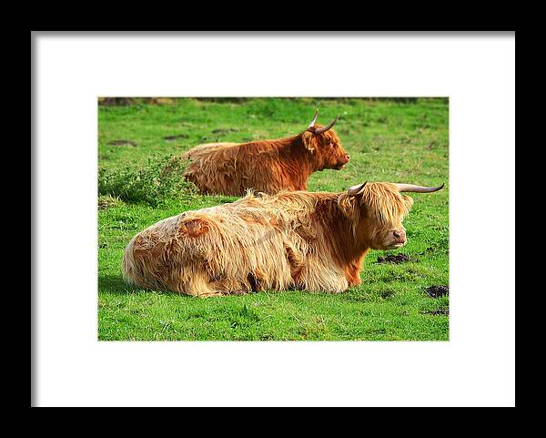 Highlander Framed Print featuring the photograph Overseers by Jon Exley