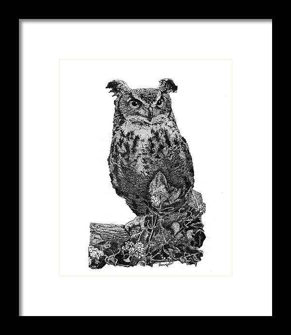 Pen Framed Print featuring the drawing Owl 1 by David Doucot