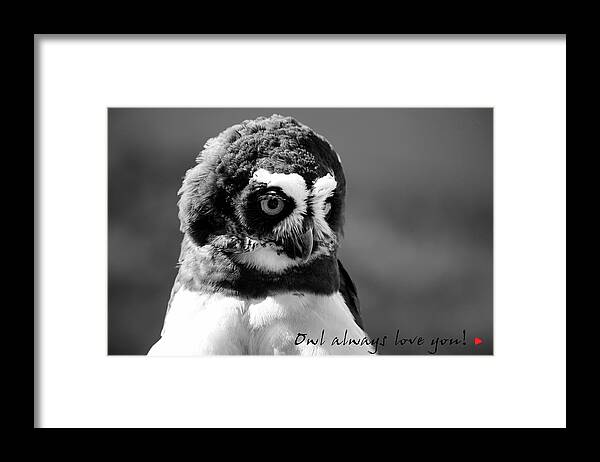 Valentines Card Framed Print featuring the digital art Owl Always Love You by Carrie OBrien Sibley