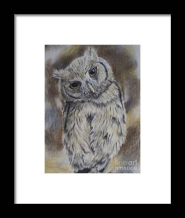 Owl Framed Print featuring the drawing Owl by Laurianna Taylor