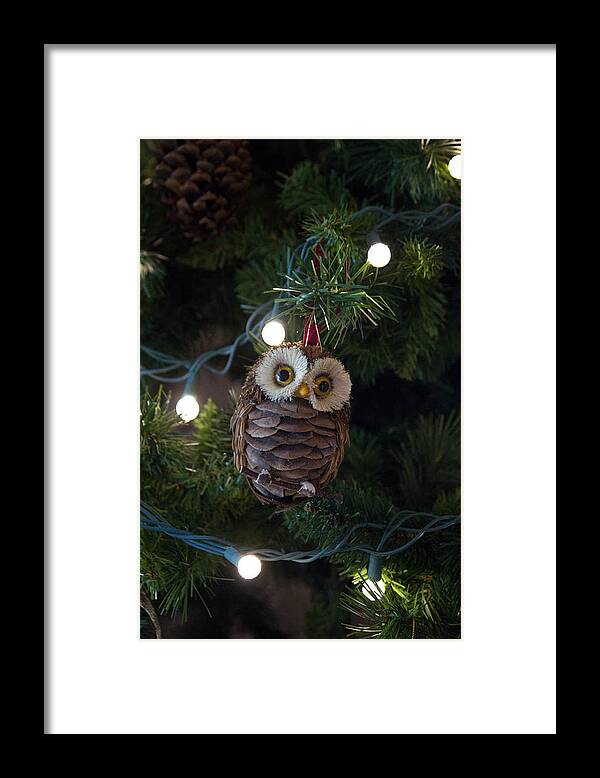 Owls Framed Print featuring the photograph Owly Christmas by Patricia Babbitt