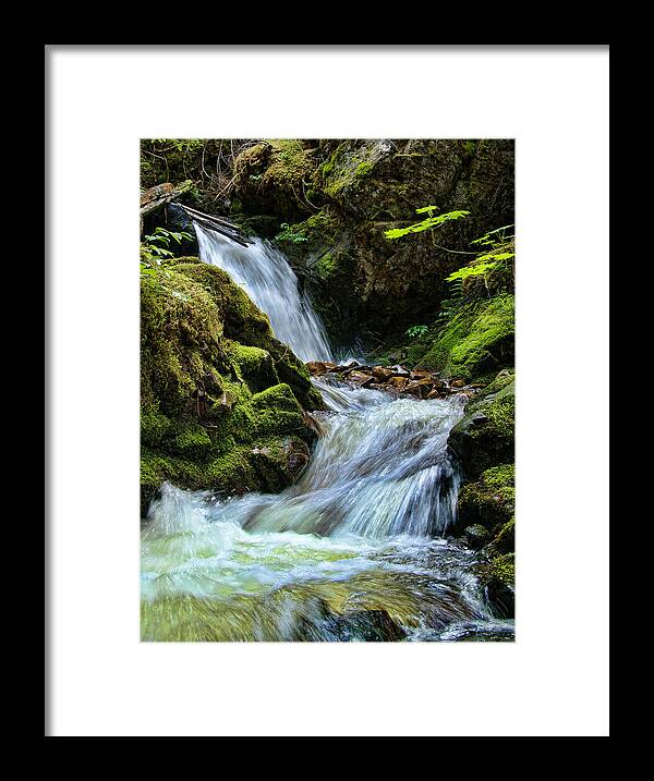 Moss Framed Print featuring the photograph Packer Falls vert 1 by Paul DeRocker