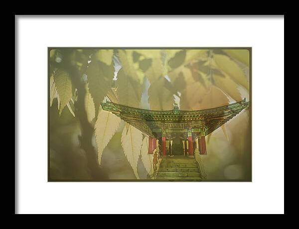 Pagoda Framed Print featuring the photograph Pagoda in the Forest by Joseph Hollingsworth