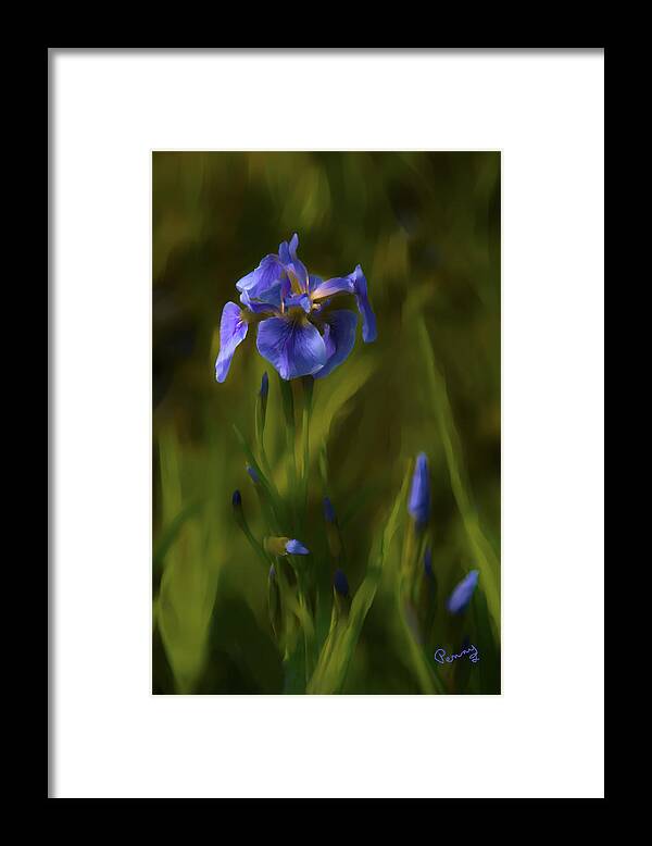 Alaska Framed Print featuring the photograph Painted Alaskan Wild Irises by Penny Lisowski