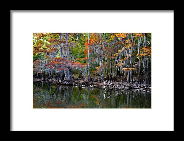 Autumn Framed Print featuring the photograph Painted Bayou by Lana Trussell