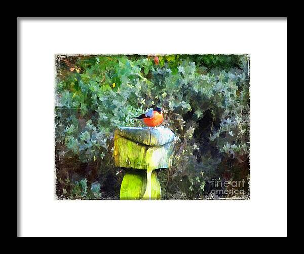 Art Framed Print featuring the painting Painted Bullfinch S1 by Vix Edwards