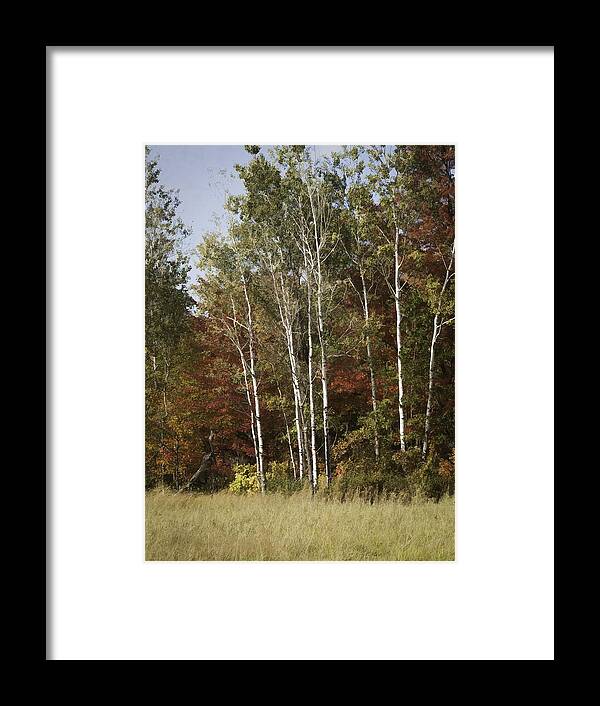Fall Colors Framed Print featuring the photograph Painted Fall Colors by Thomas Young
