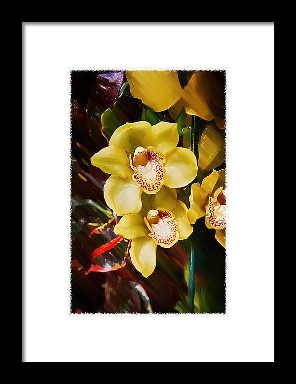 Orchids Framed Print featuring the painting Painted Orchids by John Haldane