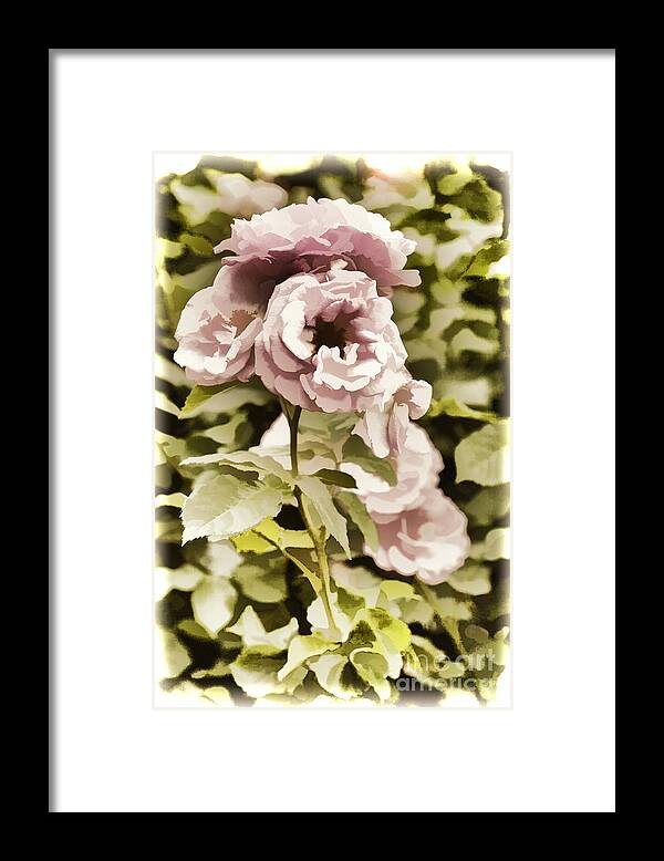 Live Rose Framed Print featuring the painting Painting of a live pink Rose flower in Color 3225.02 by M K Miller