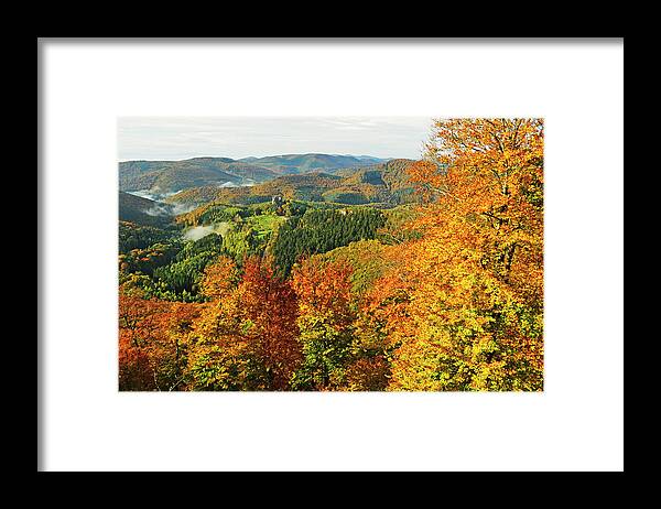 Scenics Framed Print featuring the photograph Palatinate Forest, Near Hirschthal by Jochen Schlenker