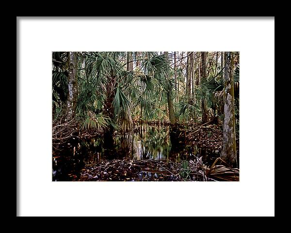 Chris Kusik Framed Print featuring the photograph Palm and Cypress. Three Lakes W.M.A. by Chris Kusik