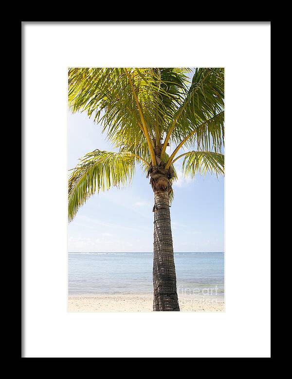 Beach Framed Print featuring the photograph Palm at Beach by Brandon Tabiolo