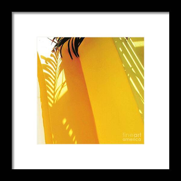 Sharkcrossing Framed Print featuring the painting S Palm Shadow on Yellow Wall - Square by Lyn Voytershark