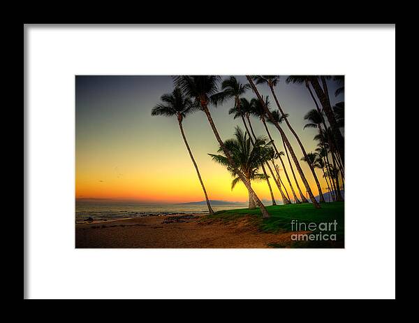 Sunrise Framed Print featuring the photograph Palm Sunrise by Kelly Wade