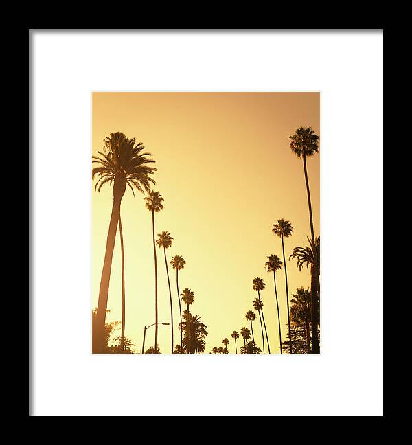 Sunset Strip Framed Print featuring the photograph Palm Tree At Sunset On Beverly Hills by Franckreporter
