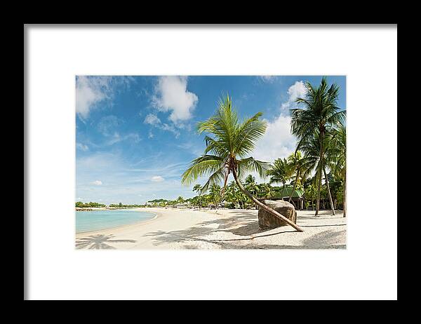Water's Edge Framed Print featuring the photograph Palm Tree Beach Resort Sentosa Island by Fotovoyager