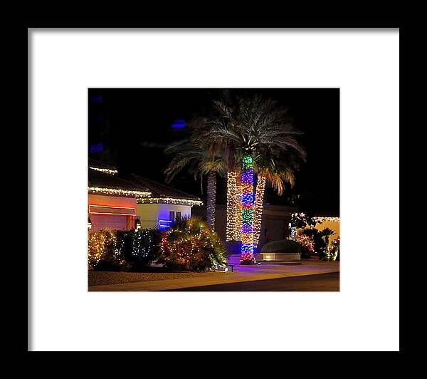 Christmas Framed Print featuring the photograph Palm Tree Christmas 12765 by Jerry Sodorff