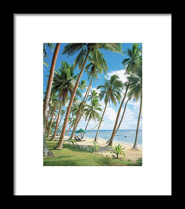 #faatoppicks Framed Print featuring the photograph Palm Tree Near Beach by Erhard Pfeiffer