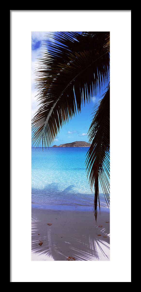Photography Framed Print featuring the photograph Palm Tree On The Beach, Maho Bay by Panoramic Images