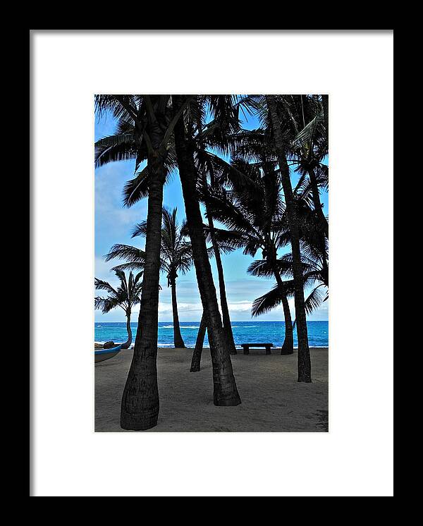Palm Tree Silhouettes Framed Print featuring the photograph Palm Tree Silhouettes by Kirsten Giving