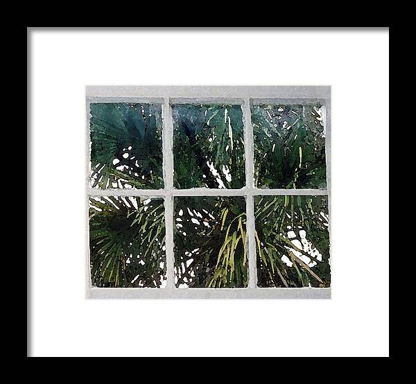 Palm Through Window Framed Print featuring the photograph Palm Window by Edward Shmunes