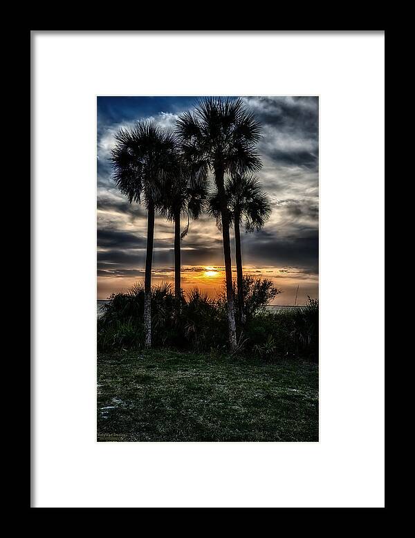 Palm Trees Framed Print featuring the photograph Palms at Sunet by Michael White