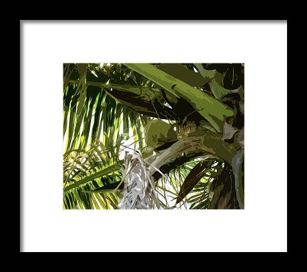 Palm Framed Print featuring the photograph Palms away 2 by Alan Metzger