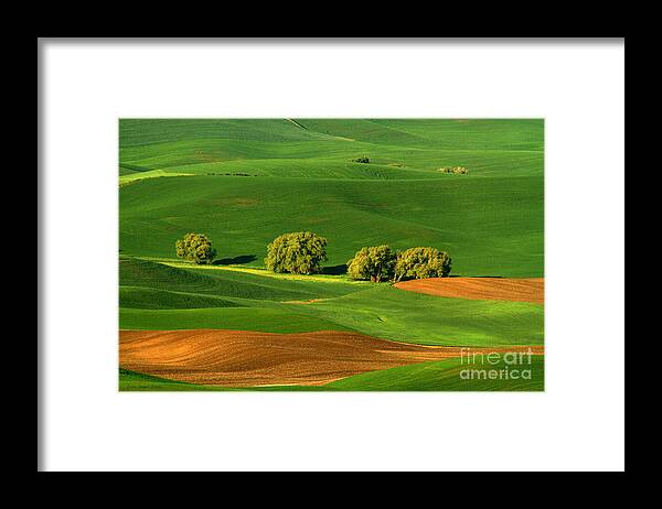 Palouse Framed Print featuring the photograph Palouse Green by Beve Brown-Clark Photography