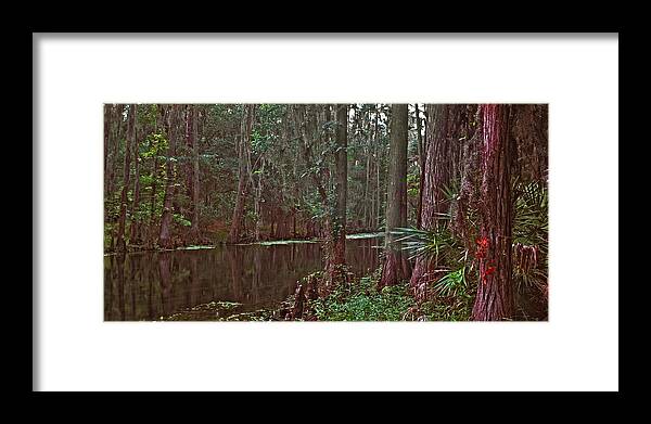 Panoramic. Framed Print featuring the photograph Panoramic of Shingle Creek. by Chris Kusik