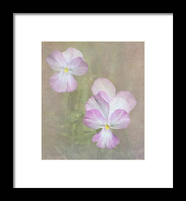 Floral Framed Print featuring the photograph Pansies by Angie Vogel