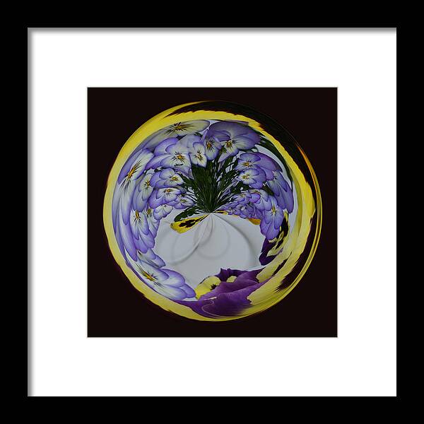 Flowers Framed Print featuring the photograph Pansy Series 503 by Jim Baker