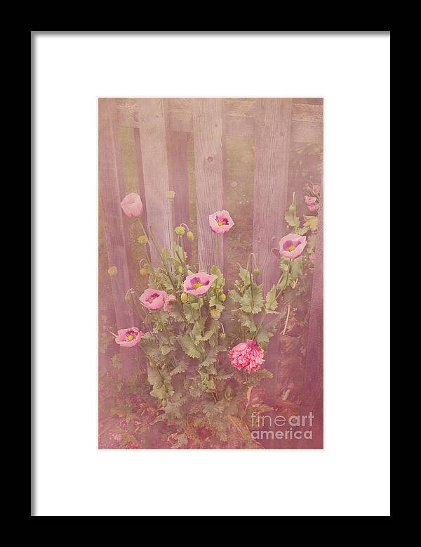 Poppy Framed Print featuring the photograph Papaver Orientale 2 by Linsey Williams